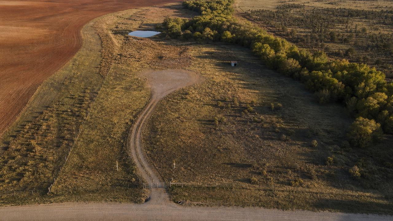 Golden-hour aerial of a single rural land parcel: a pale gravel county road along the bottom edge with a culvert and a wire gate, a two-track drive curving back to a bare building pad, a cottonwood treeline along a dry creek, a stock pond, and a straight fence line separating the grass from a neighbouring ploughed field.